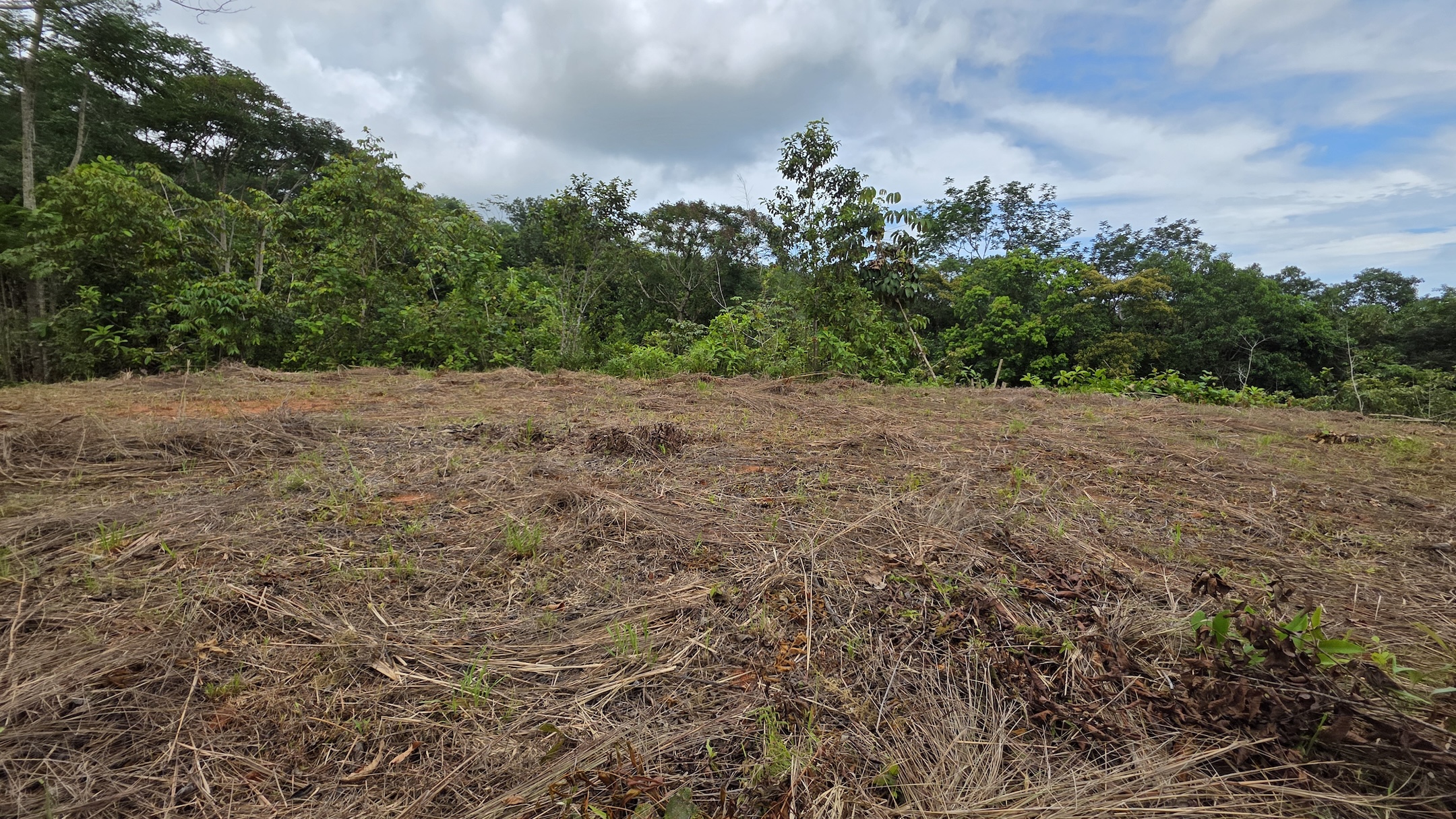 LOT WITH OCEAN AND MOUNTAIN VIEWS, IN OJOCHAL – 0.29 ACRES