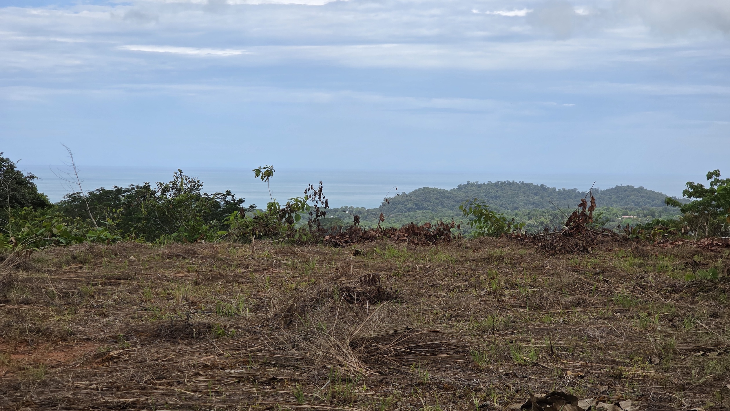 LOT WITH OCEAN AND MOUNTAIN VIEWS, IN OJOCHAL – 0.29 ACRES