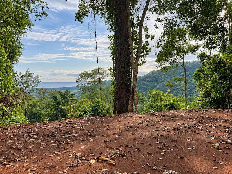 5.93-ACRE LOT WITH OCEAN VIEW AND NATURE RESERVE, IN PORTASOL