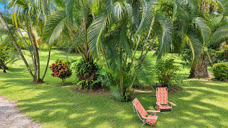 WOODEN CABIN WITH A NEARBY RIVER AND TROPICAL NATURE, IN UVITA