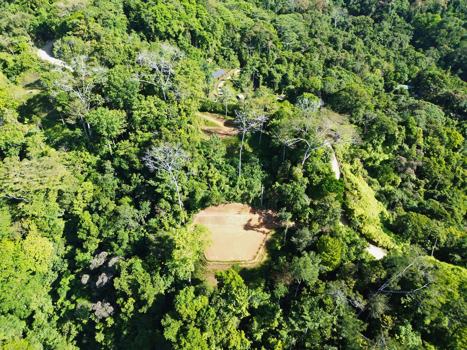 PRIVATE LOT WITH OCEAN AND TROPICAL RAINFOREST VIEWS, IN UVITA – 1.73 ACRES