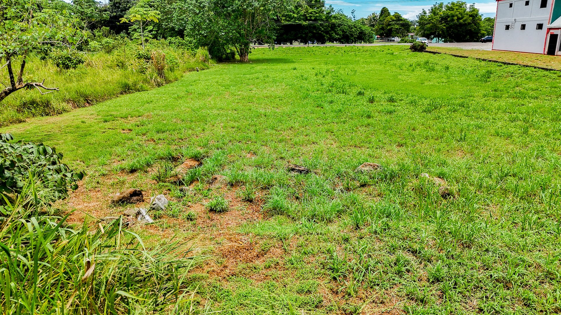 FLAT 0.59-ACRE LOT WITH DIRECT ACCESS TO THE COASTAL ROAD AND HIGH COMMERCIAL POTENTIAL IN CORONADO TRES RIOS