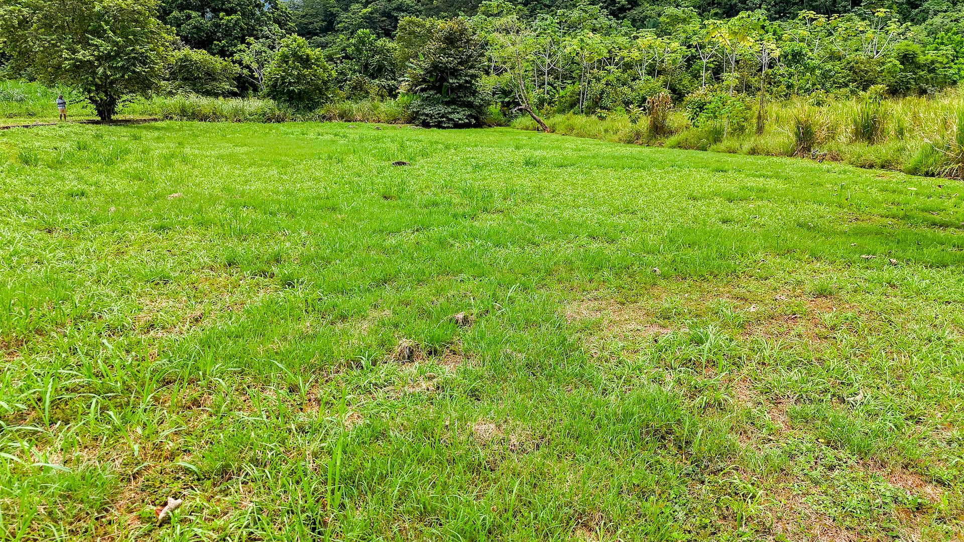 FLAT 0.59-ACRE LOT WITH DIRECT ACCESS TO THE COASTAL ROAD AND HIGH COMMERCIAL POTENTIAL IN CORONADO TRES RIOS