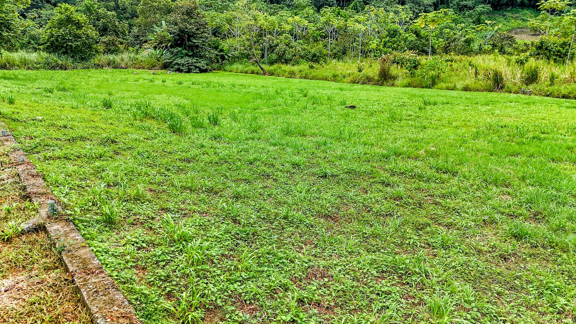FLAT 0.59-ACRE LOT WITH DIRECT ACCESS TO THE COASTAL ROAD AND HIGH COMMERCIAL POTENTIAL IN CORONADO TRES RIOS