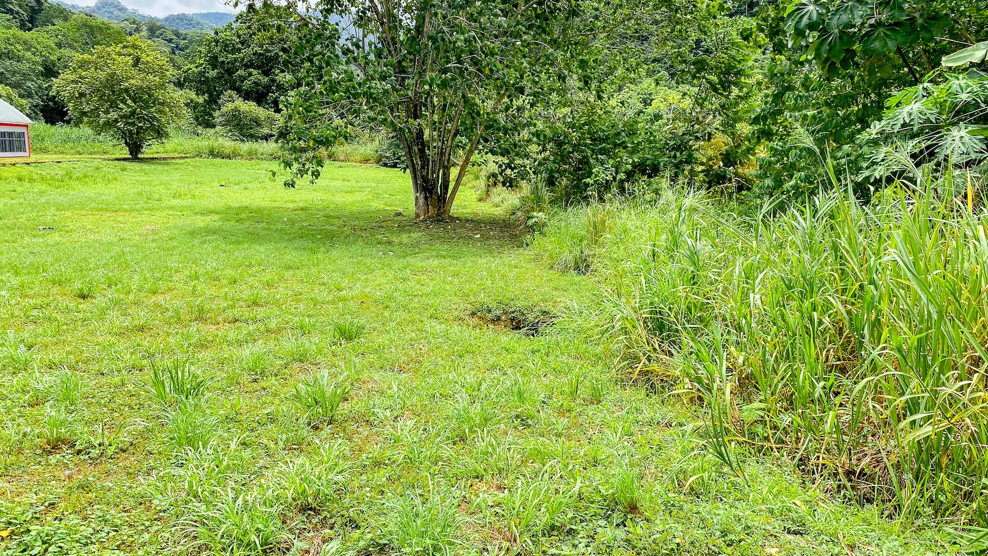 FLAT 0.59-ACRE LOT WITH DIRECT ACCESS TO THE COASTAL ROAD AND HIGH COMMERCIAL POTENTIAL IN CORONADO TRES RIOS