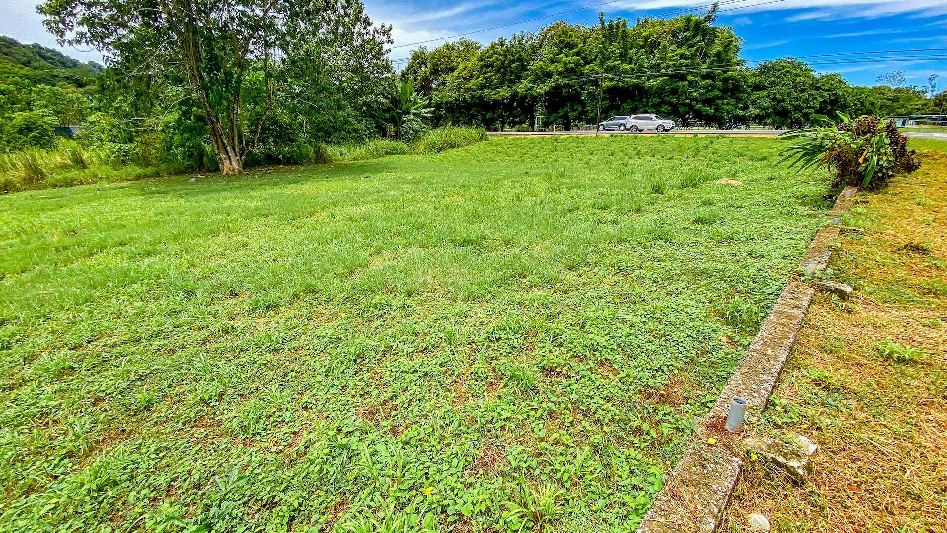 FLAT 0.59-ACRE LOT WITH DIRECT ACCESS TO THE COASTAL ROAD AND HIGH COMMERCIAL POTENTIAL IN CORONADO TRES RIOS
