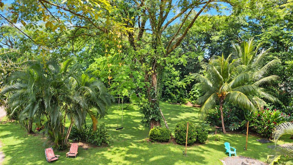 WOODEN CABIN WITH A NEARBY RIVER AND TROPICAL NATURE, IN UVITA