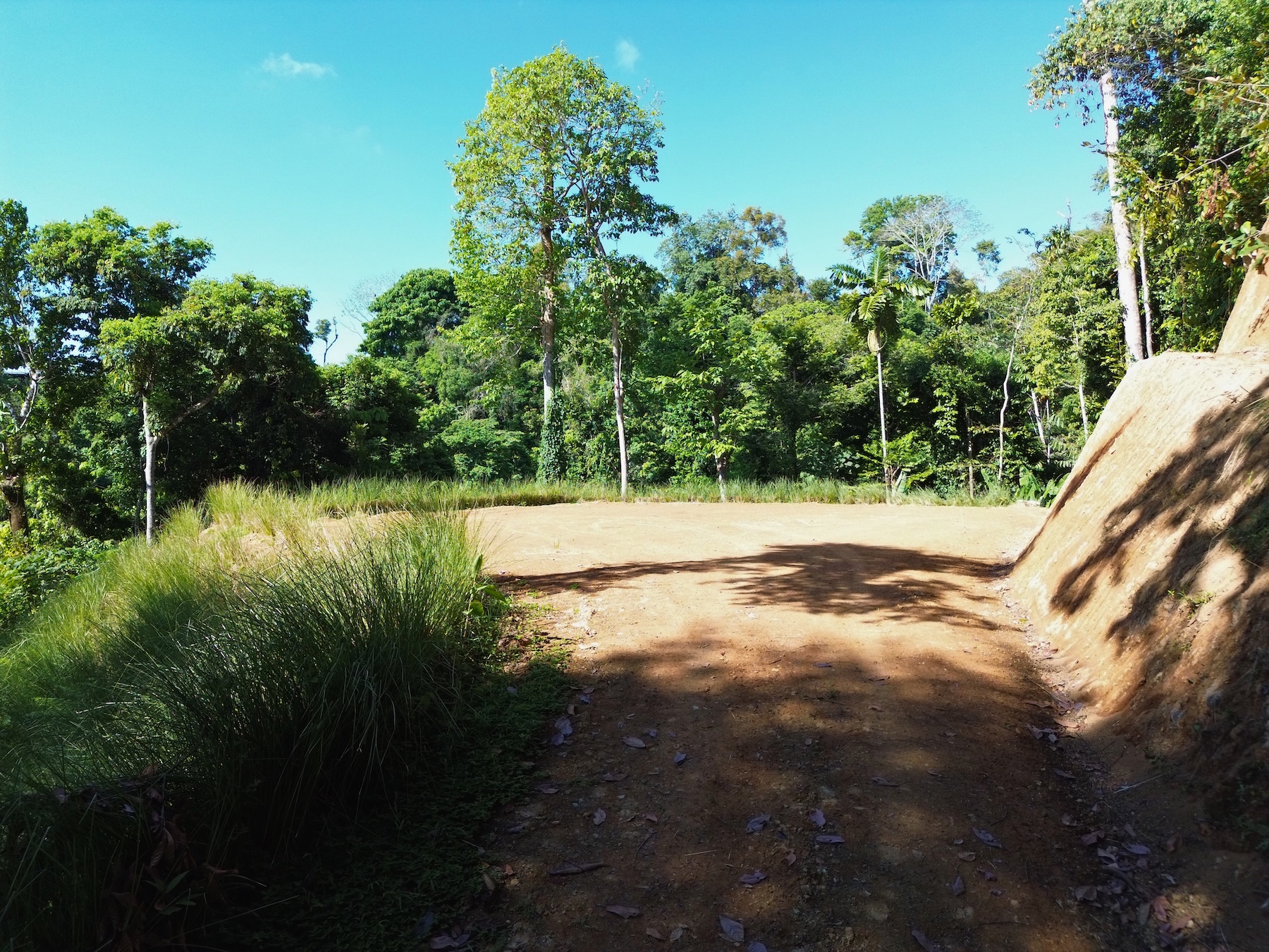 PRIVATE LOT WITH OCEAN AND TROPICAL RAINFOREST VIEWS, IN UVITA – 1.73 ACRES