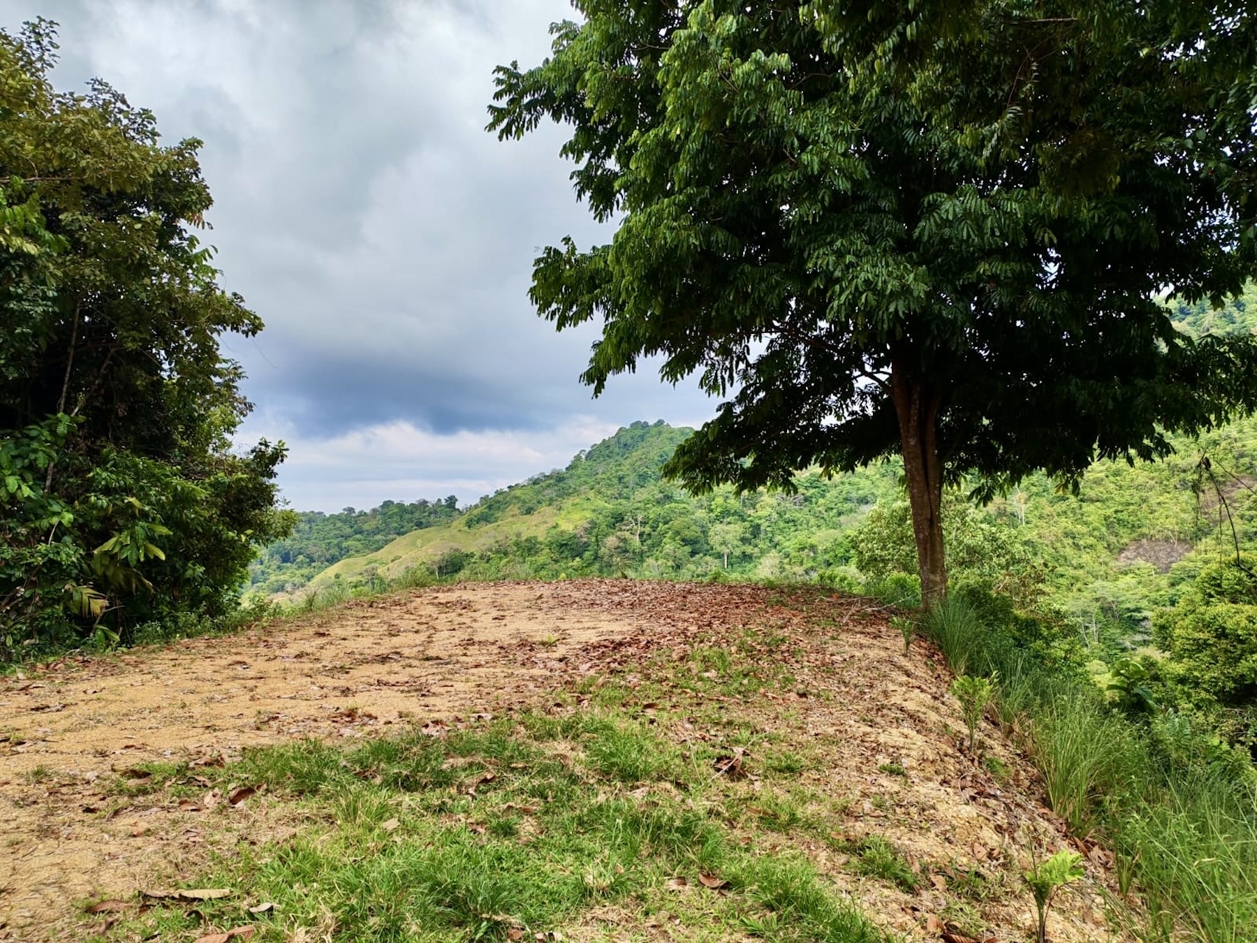 10-HECTARE PROPERTY IN THE MOUNTAINS OF SAN CRISTÓBAL DE AGUIRRE, NEAR TO SILENCIO