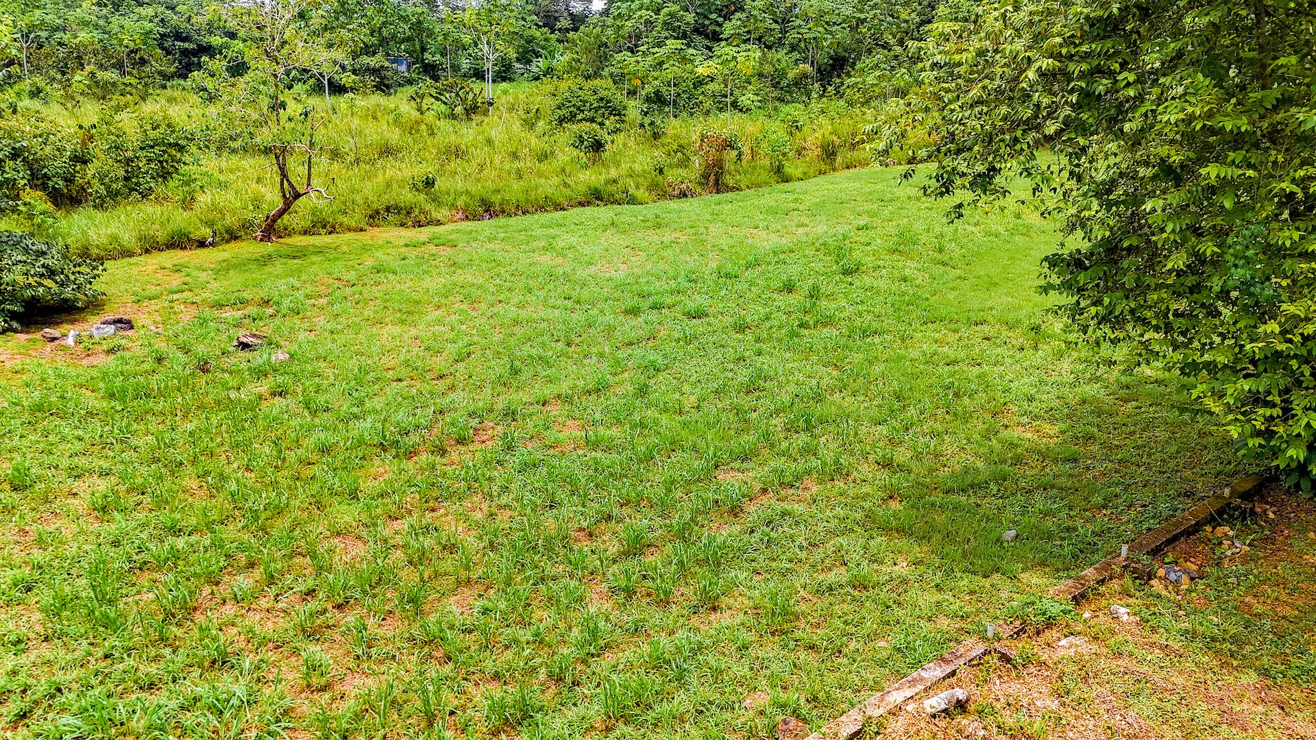 FLAT 0.59-ACRE LOT WITH DIRECT ACCESS TO THE COASTAL ROAD AND HIGH COMMERCIAL POTENTIAL IN CORONADO TRES RIOS