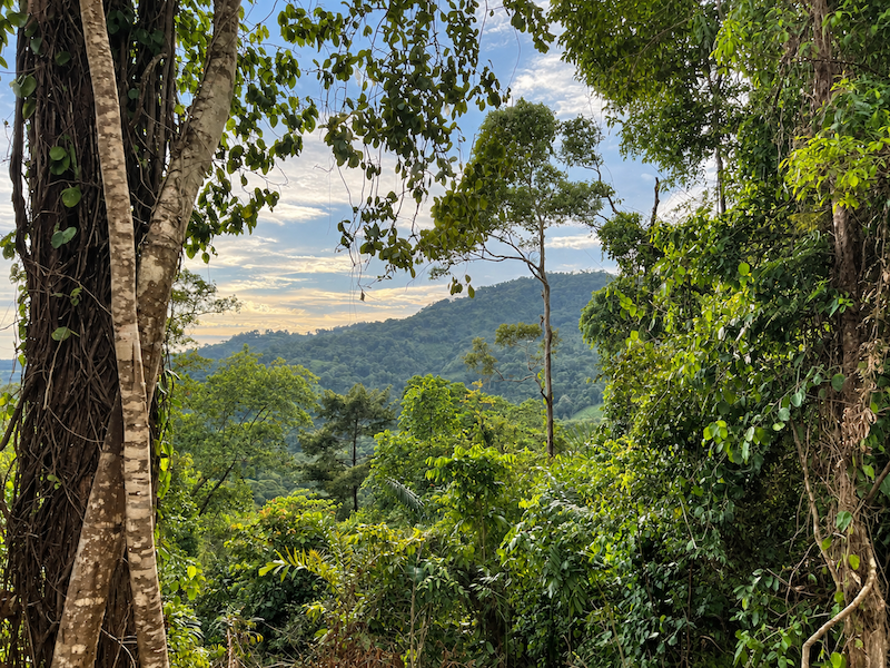 5.93-ACRE LOT WITH OCEAN VIEW AND NATURE RESERVE, IN PORTASOL