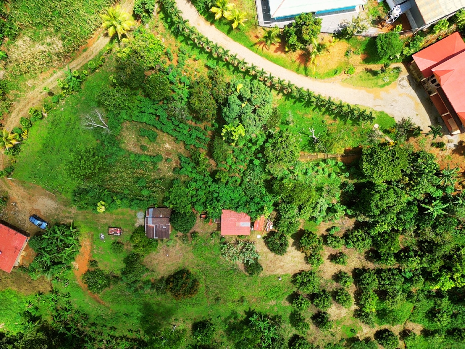 2.47-ACRE MOUNTAIN PROPERTY WITH AGRICULTURAL PRODUCTION, IN PÉREZ ZELEDÓN