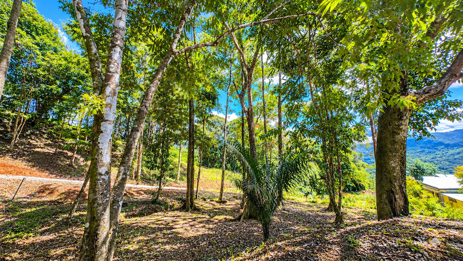 BUILDING LOT WITH VIEWS OF TWO WATERFALLS NEAR PLAYA DOMINICAL – 2.47 ACRES