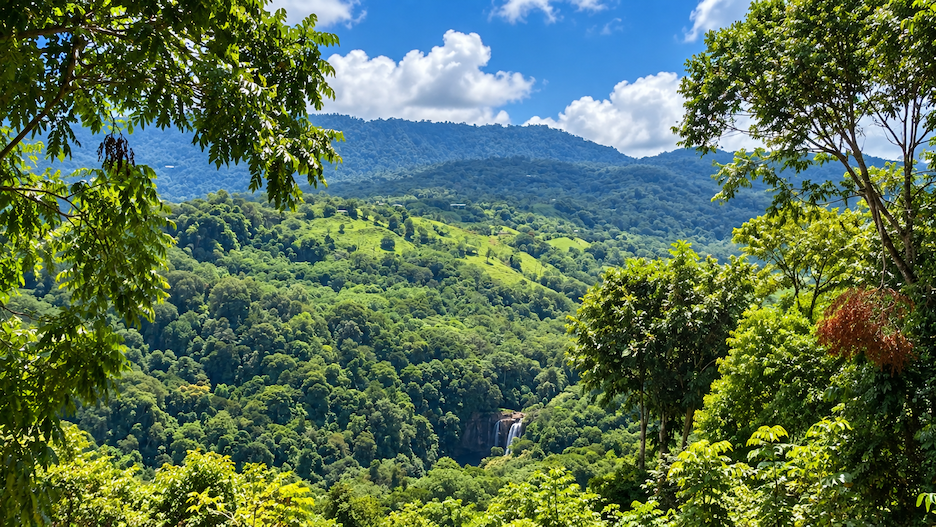 BUILDING LOT WITH VIEWS OF TWO WATERFALLS NEAR PLAYA DOMINICAL – 2.47 ACRES