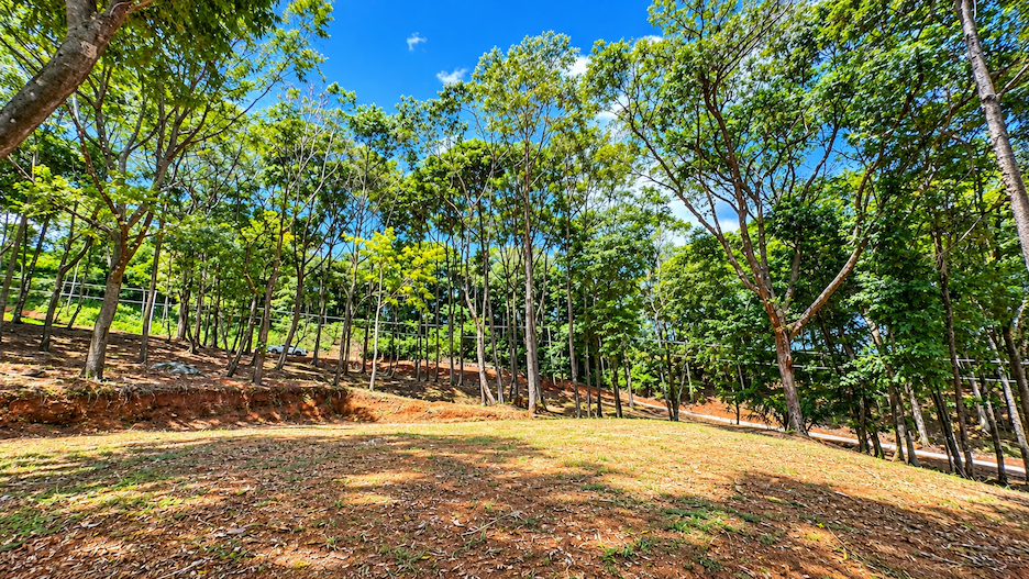 BUILDING LOT WITH VIEWS OF TWO WATERFALLS NEAR PLAYA DOMINICAL – 2.47 ACRES
