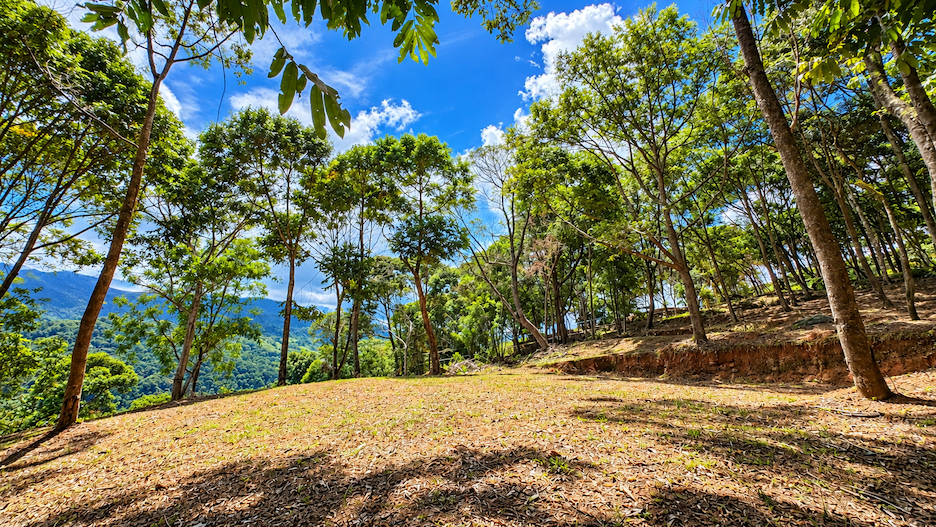 BUILDING LOT WITH VIEWS OF TWO WATERFALLS NEAR PLAYA DOMINICAL – 2.47 ACRES