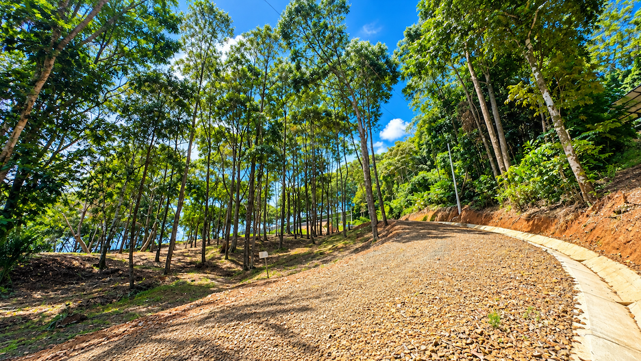 BUILDING LOT WITH VIEWS OF TWO WATERFALLS NEAR PLAYA DOMINICAL – 2.47 ACRES