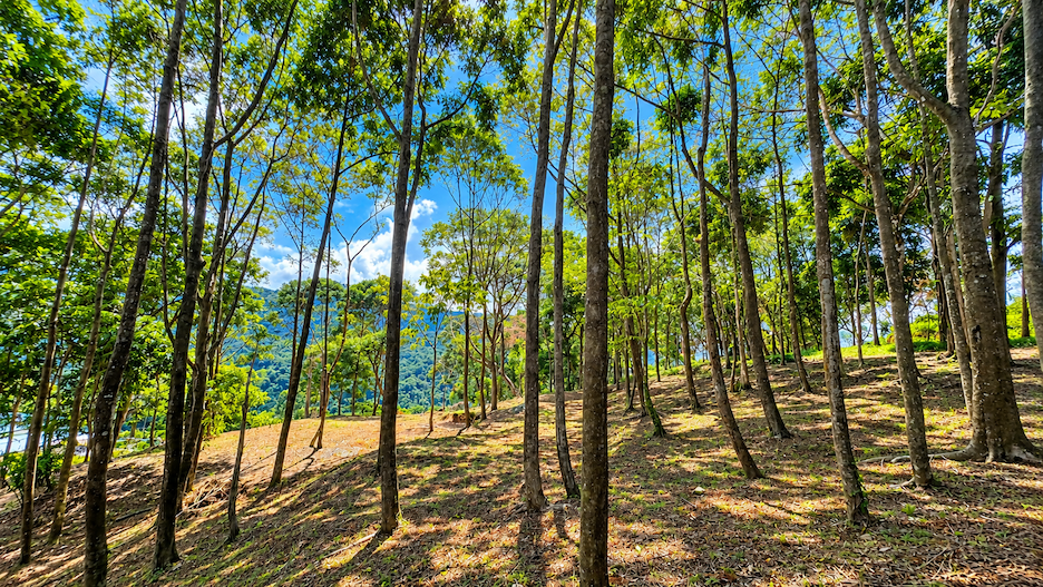 BUILDING LOT WITH VIEWS OF TWO WATERFALLS NEAR PLAYA DOMINICAL – 2.47 ACRES