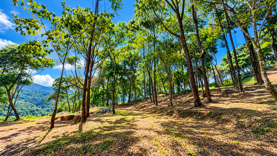 BUILDING LOT WITH VIEWS OF TWO WATERFALLS NEAR PLAYA DOMINICAL – 2.47 ACRES