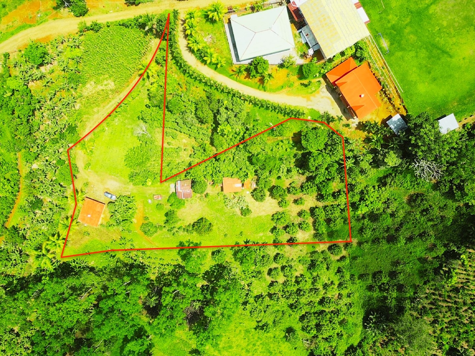 2.47-ACRE MOUNTAIN PROPERTY WITH AGRICULTURAL PRODUCTION, IN PÉREZ ZELEDÓN