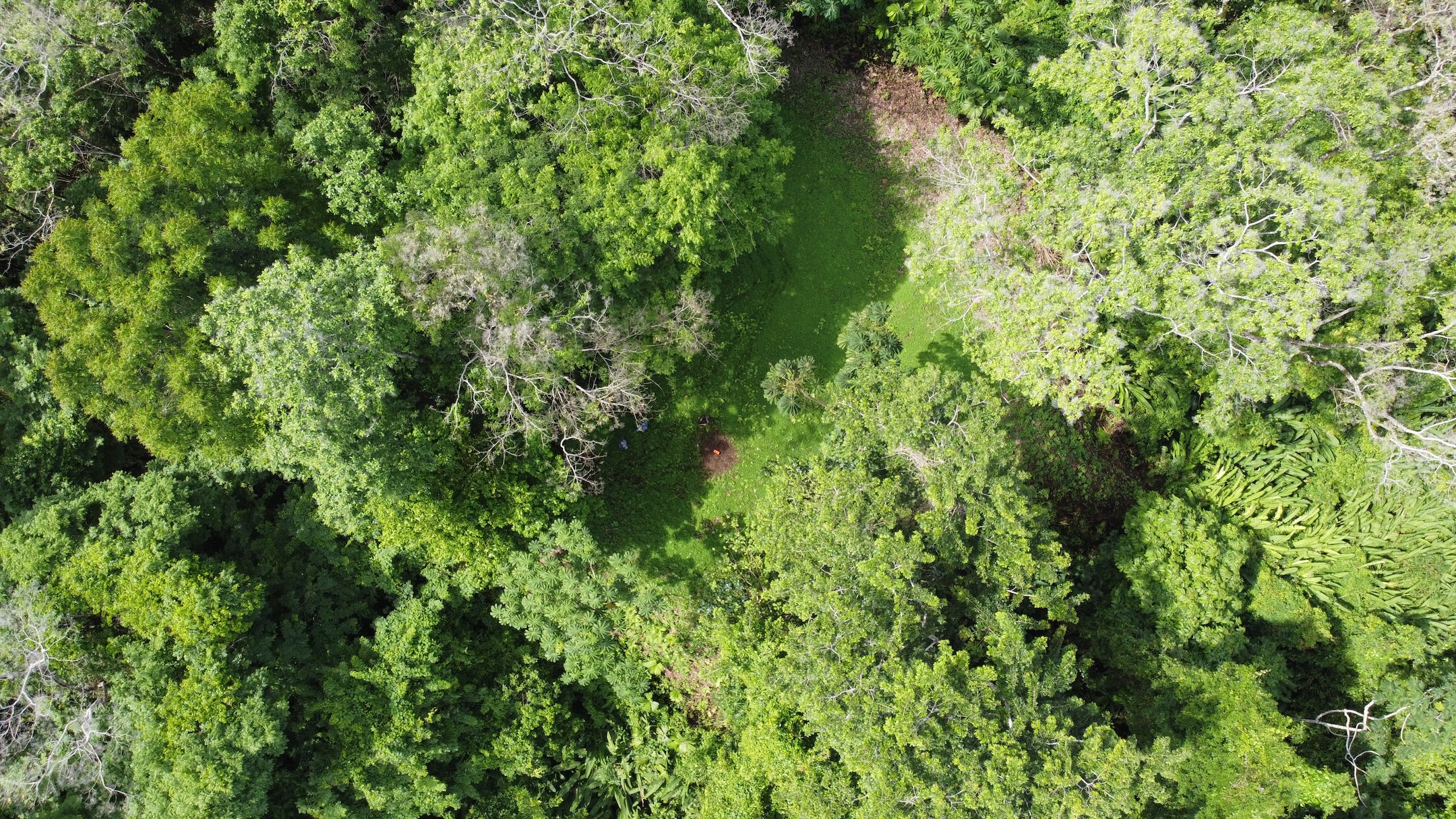 EXPANSIVE JUNGLE AND BEACH PROPERTY, IN PAVONES – 105 ACRES