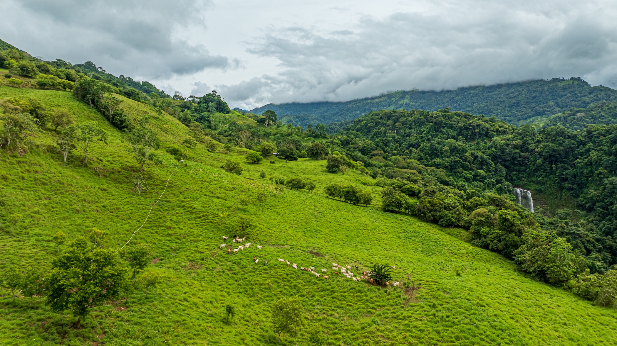 222-ACRE ECO-TOURISM PROPERTY WITH 210-FOOT WATERFALL, IN THE UP OF PLATANILLO