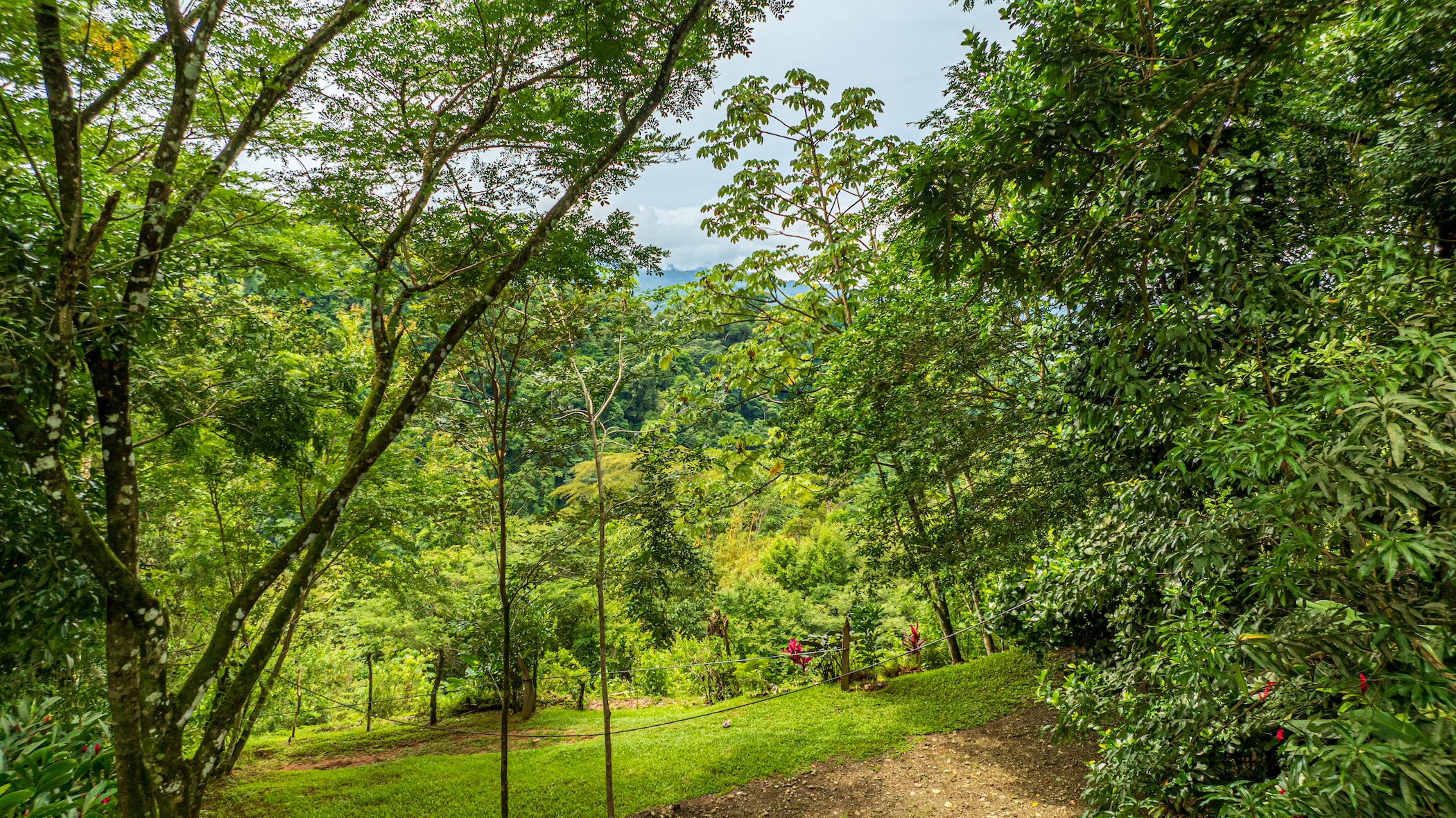 222-ACRE ECO-TOURISM PROPERTY WITH 210-FOOT WATERFALL, IN THE UP OF PLATANILLO