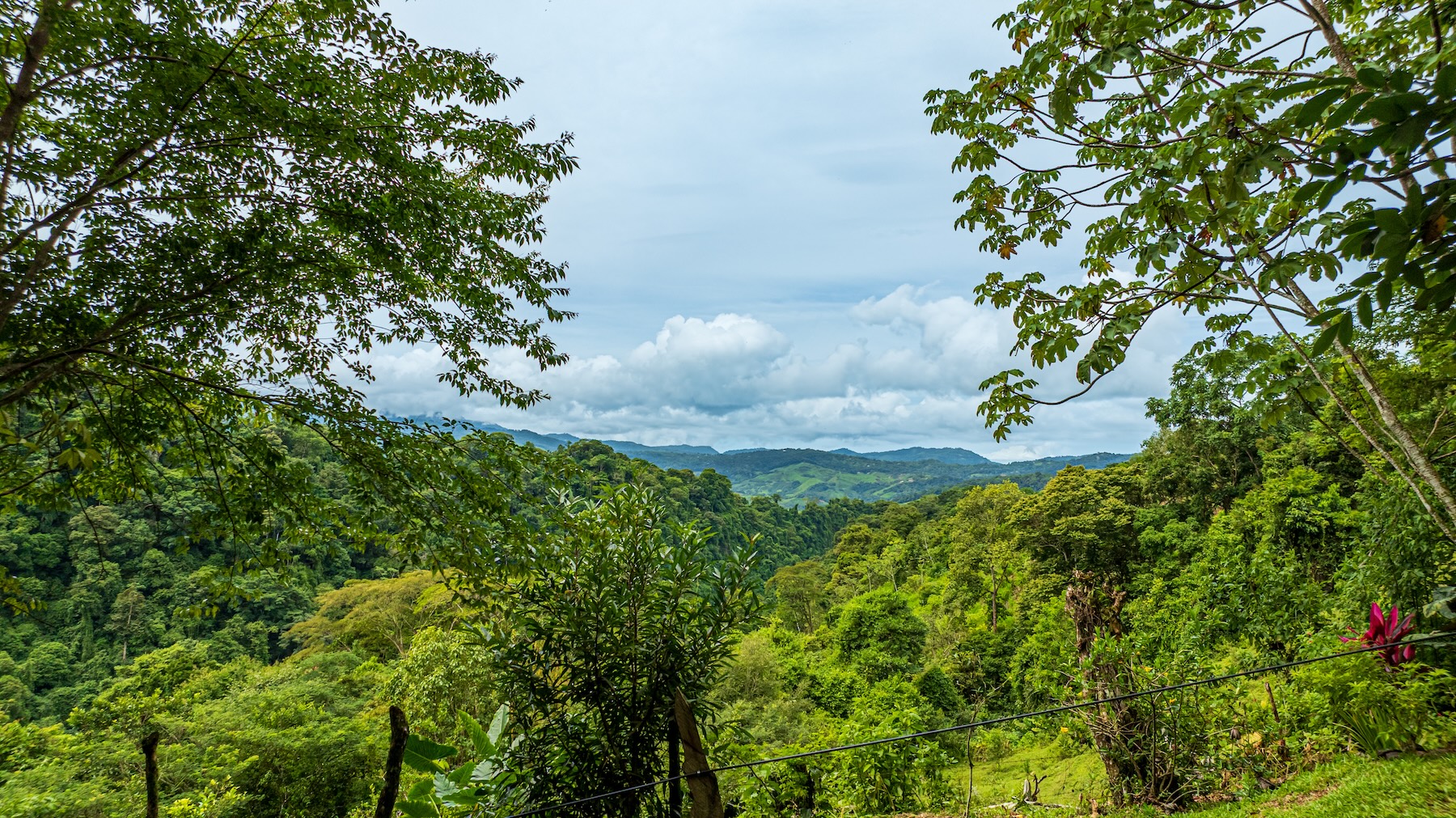 222-ACRE ECO-TOURISM PROPERTY WITH 210-FOOT WATERFALL, IN THE UP OF PLATANILLO