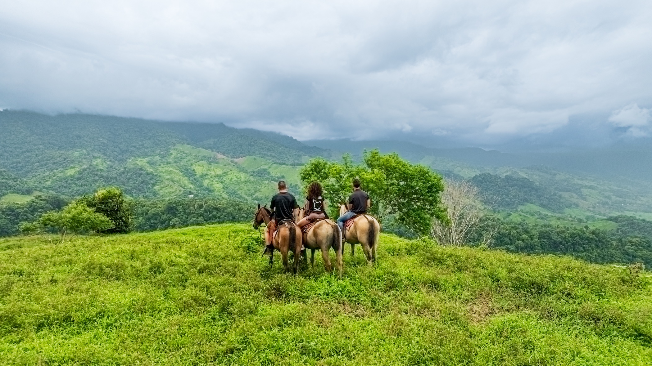 222-ACRE ECO-TOURISM PROPERTY WITH 210-FOOT WATERFALL, IN THE UP OF PLATANILLO