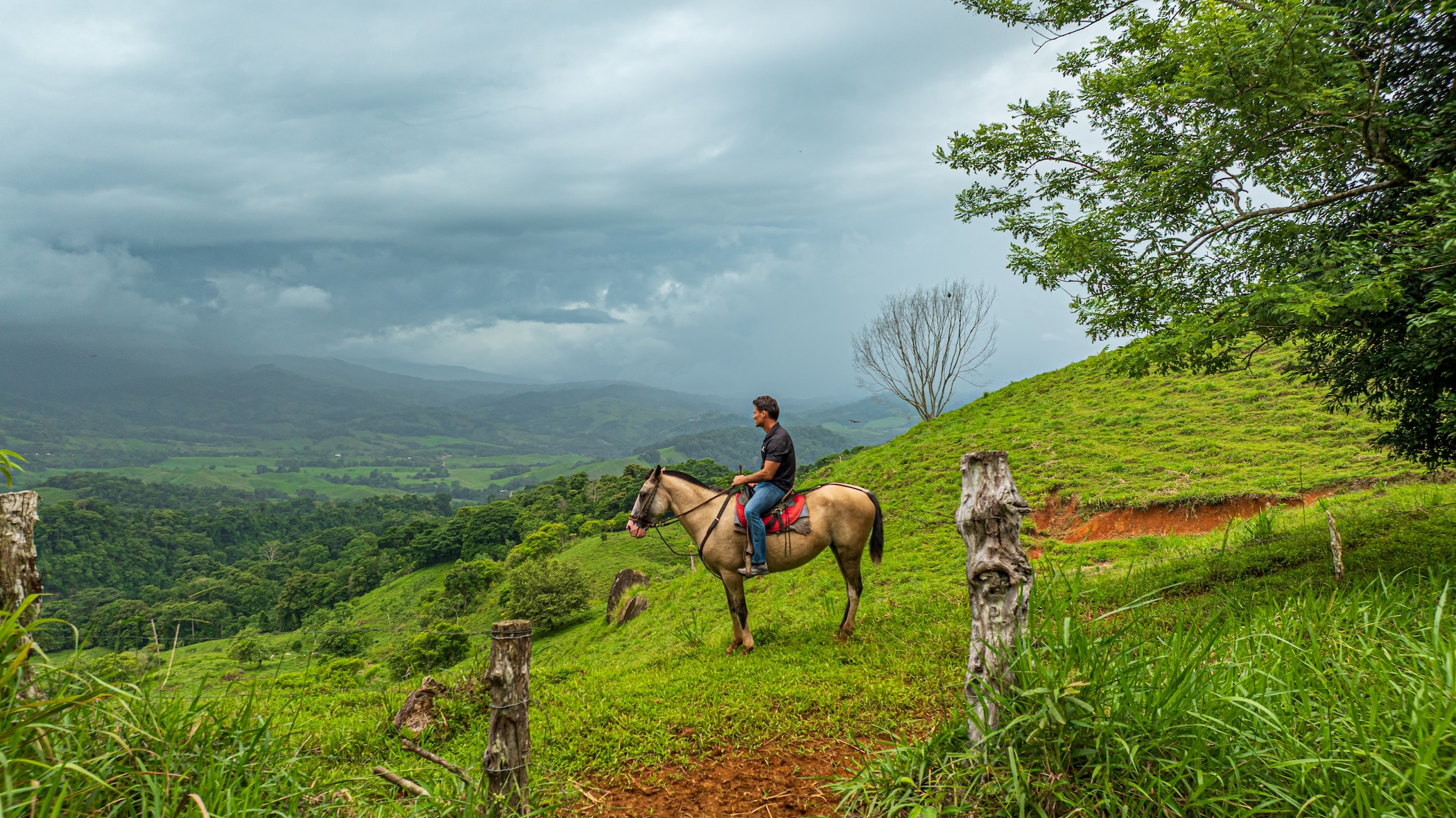 222-ACRE ECO-TOURISM PROPERTY WITH 210-FOOT WATERFALL, IN THE UP OF PLATANILLO