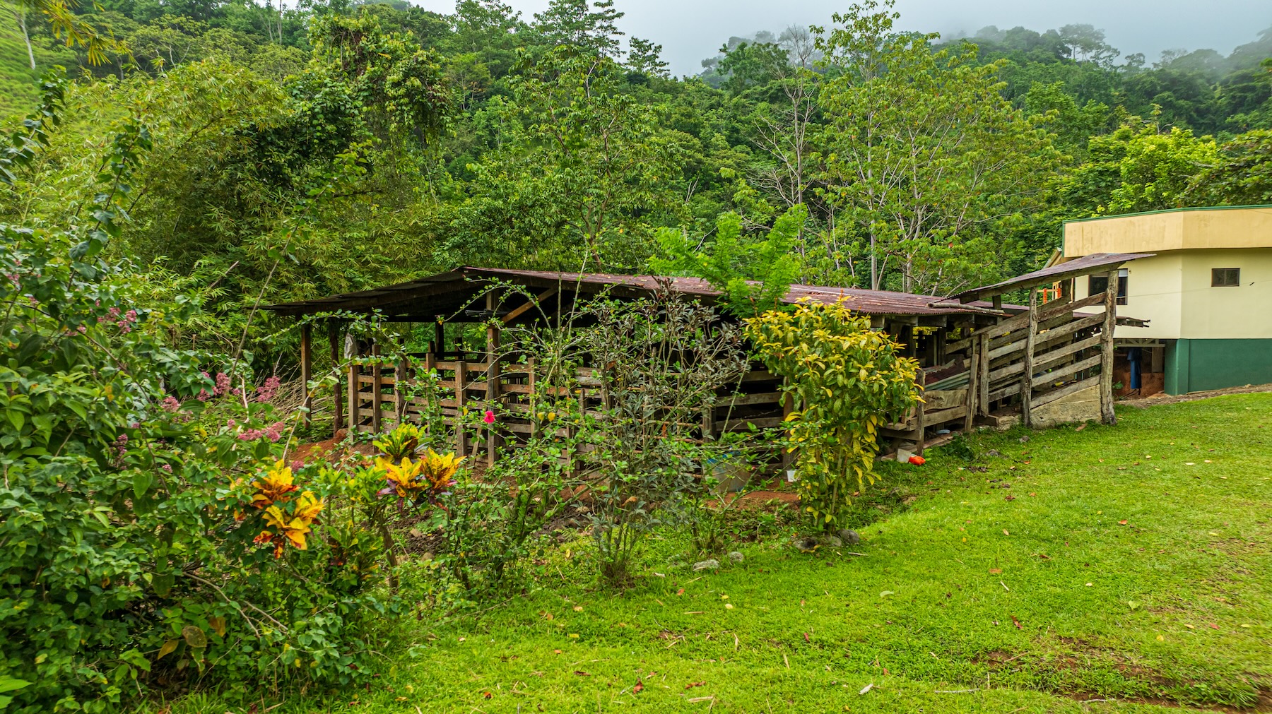 222-ACRE ECO-TOURISM PROPERTY WITH 210-FOOT WATERFALL, IN THE UP OF PLATANILLO