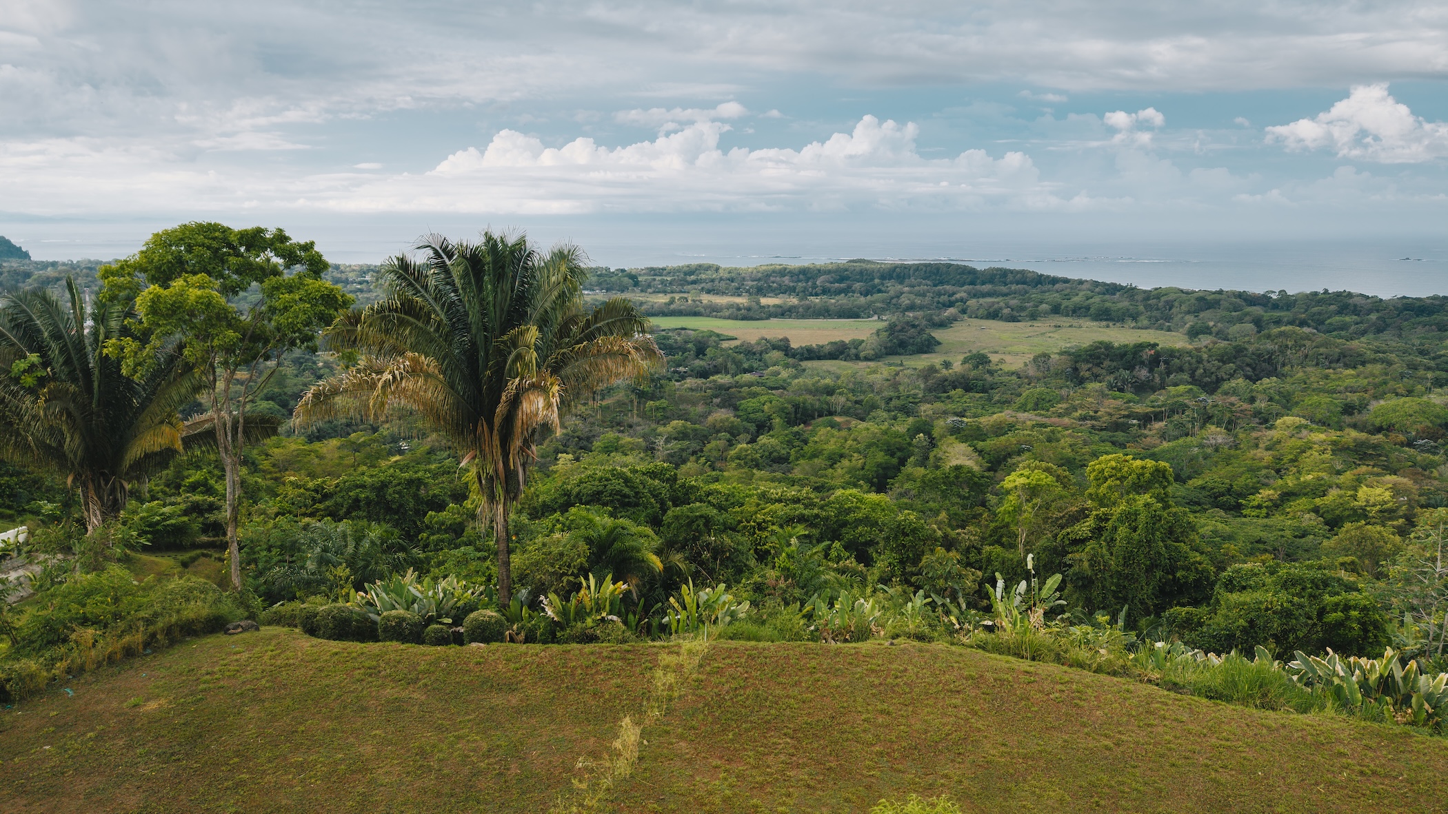2.23-ACRE PROPERTY WITH PANORAMIC OCEAN VIEWS, IN UVITA