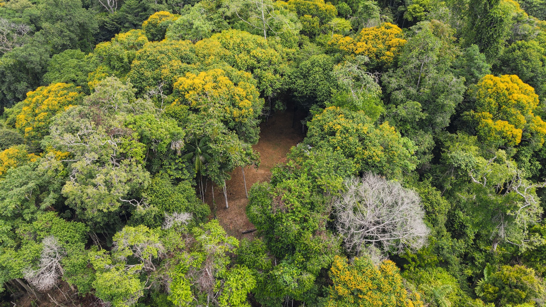LA MALOUMA NEARLY 99-ACRE PROPERTY IN THE UVITA MOUNTAINS