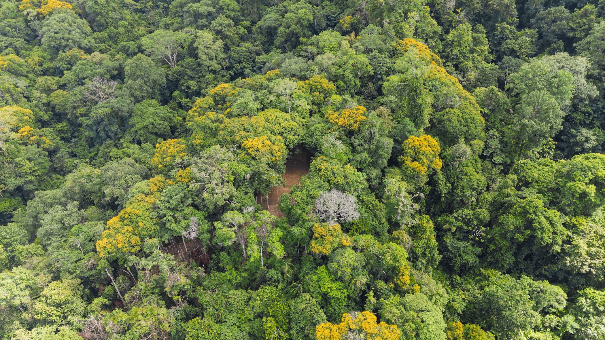 LA MALOUMA NEARLY 99-ACRE PROPERTY IN THE UVITA MOUNTAINS