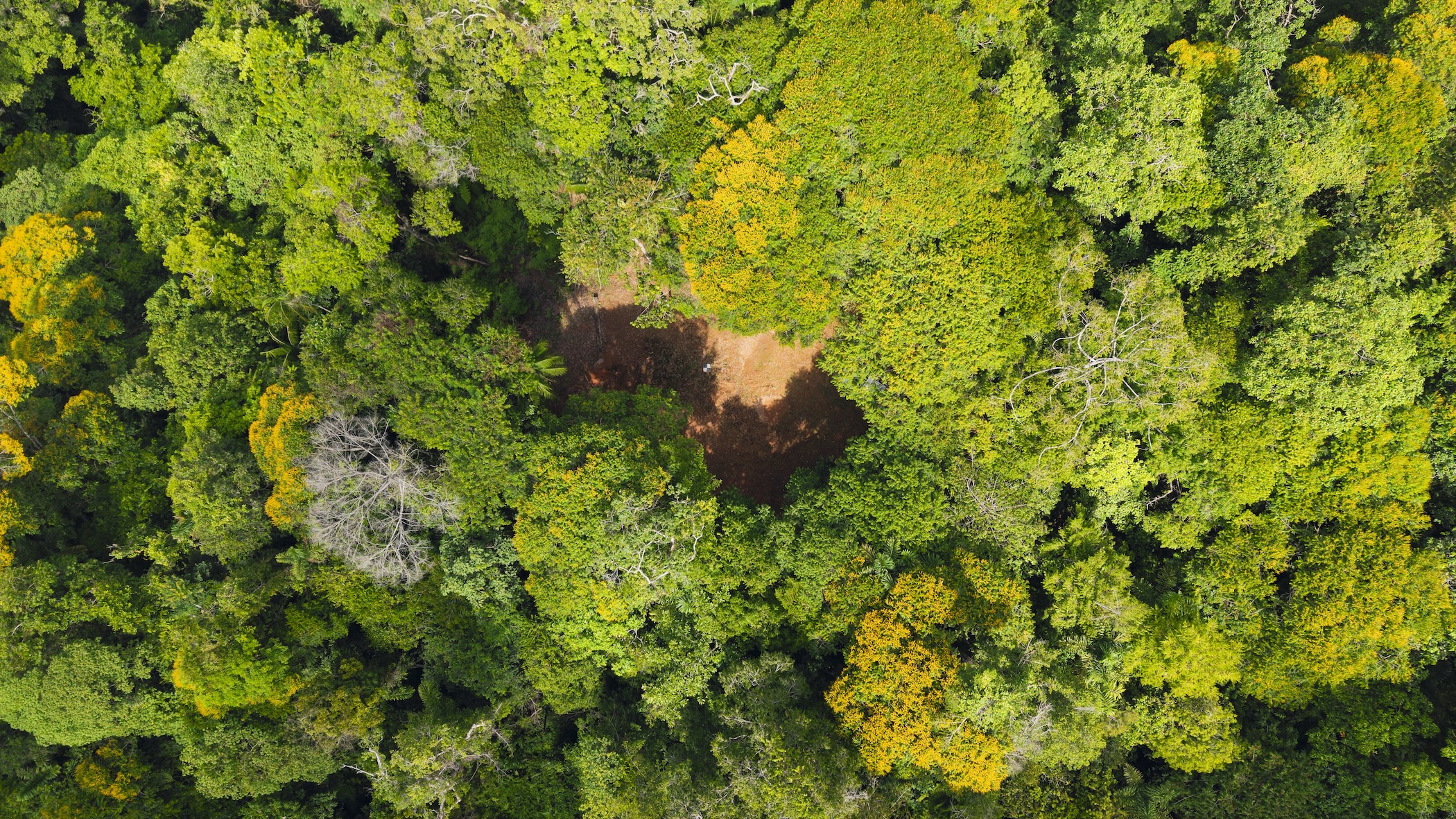 LA MALOUMA NEARLY 99-ACRE PROPERTY IN THE UVITA MOUNTAINS