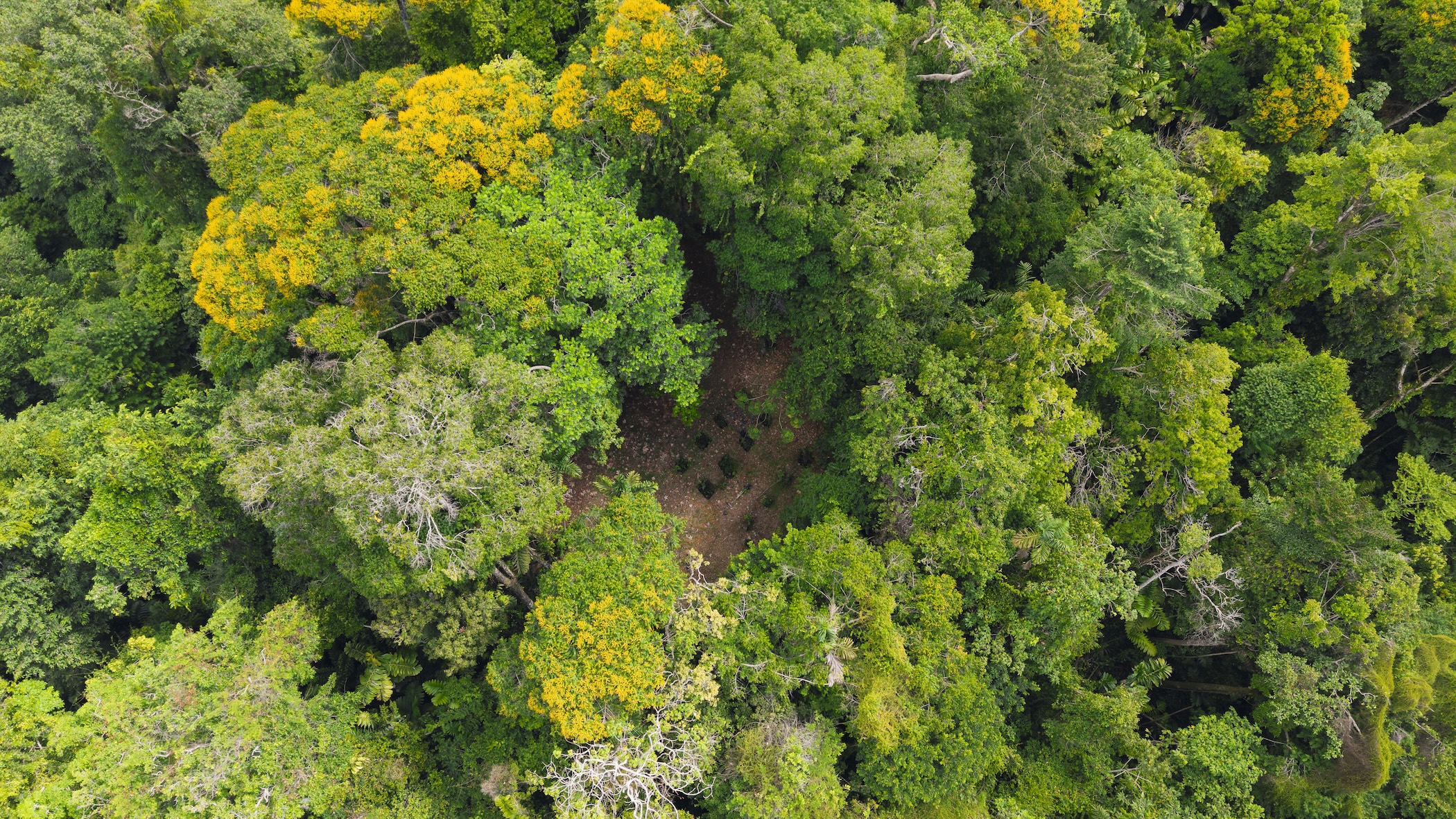LA MALOUMA NEARLY 99-ACRE PROPERTY IN THE UVITA MOUNTAINS