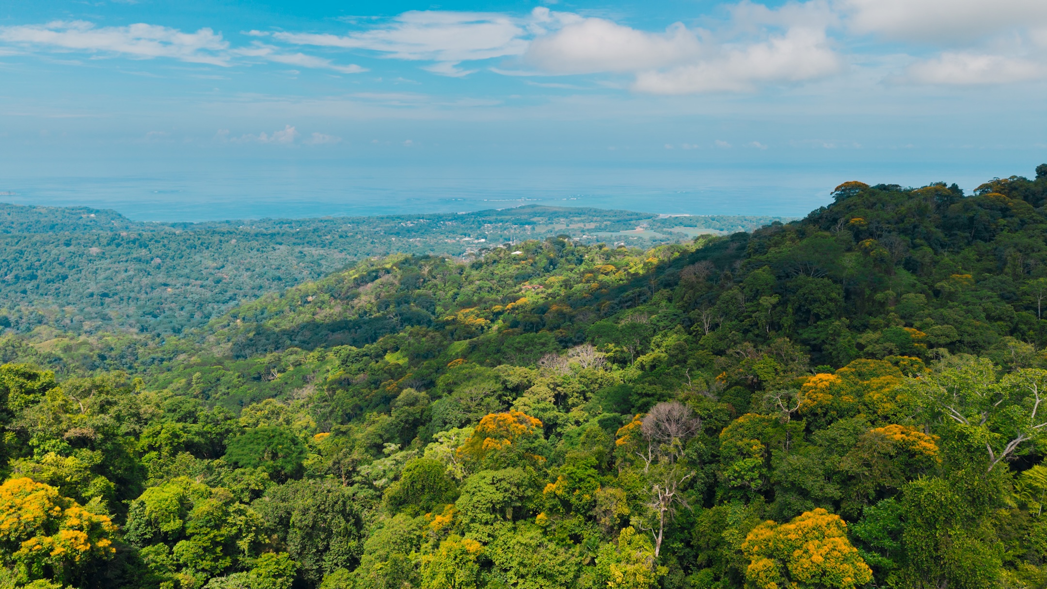 LA MALOUMA NEARLY 99-ACRE PROPERTY IN THE UVITA MOUNTAINS