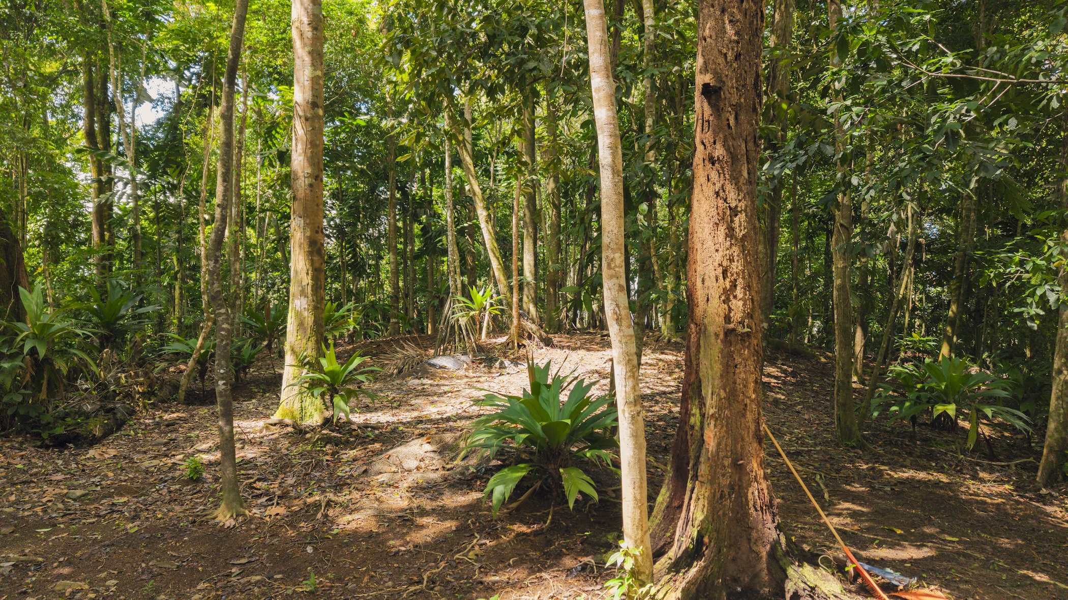 LA MALOUMA NEARLY 99-ACRE PROPERTY IN THE UVITA MOUNTAINS