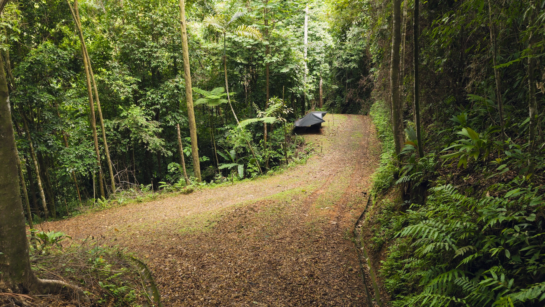 LA MALOUMA NEARLY 99-ACRE PROPERTY IN THE UVITA MOUNTAINS