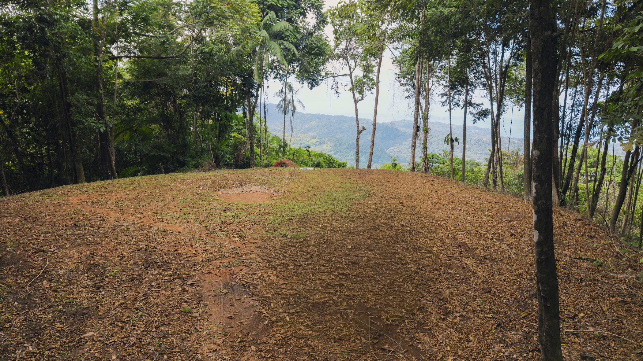 LA MALOUMA NEARLY 99-ACRE PROPERTY IN THE UVITA MOUNTAINS