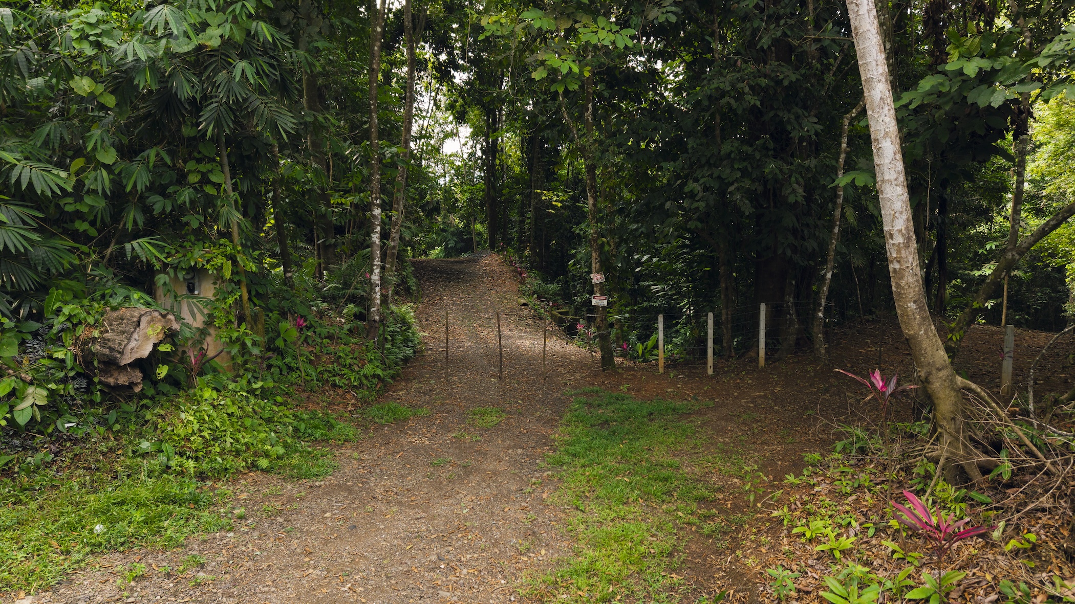 LA MALOUMA NEARLY 99-ACRE PROPERTY IN THE UVITA MOUNTAINS