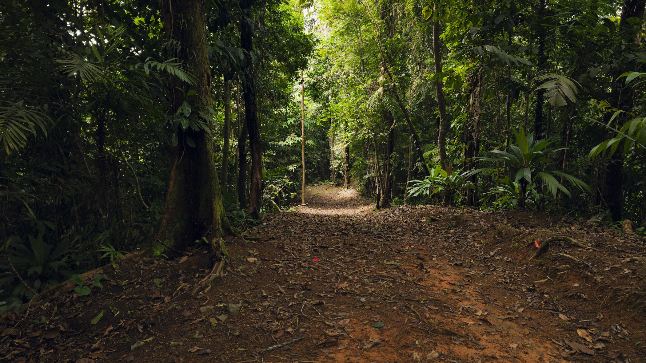 LA MALOUMA NEARLY 99-ACRE PROPERTY IN THE UVITA MOUNTAINS
