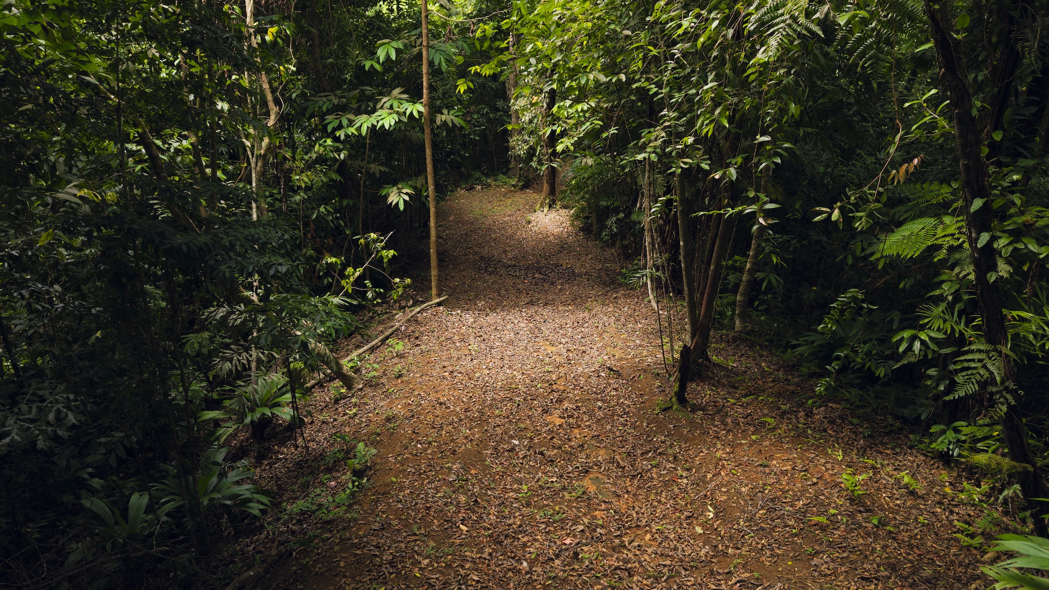 LA MALOUMA NEARLY 99-ACRE PROPERTY IN THE UVITA MOUNTAINS