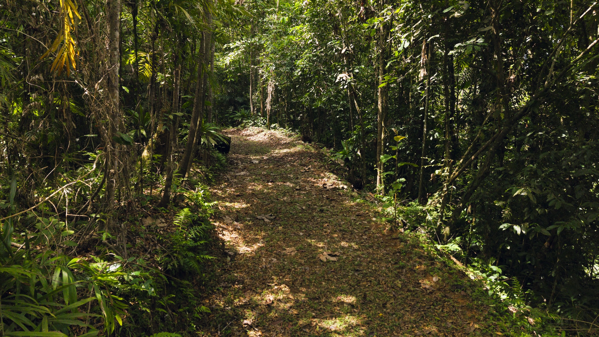 LA MALOUMA NEARLY 99-ACRE PROPERTY IN THE UVITA MOUNTAINS