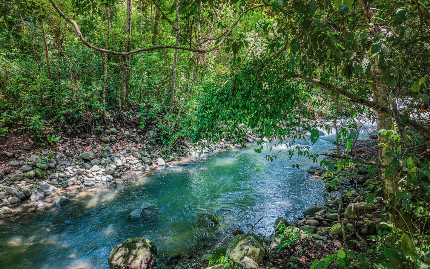 RIVERFRONT PROPERTY NEAR UVITA – PERMANENT RIVER, CASCADES & NATURAL SWIMMING POOLS