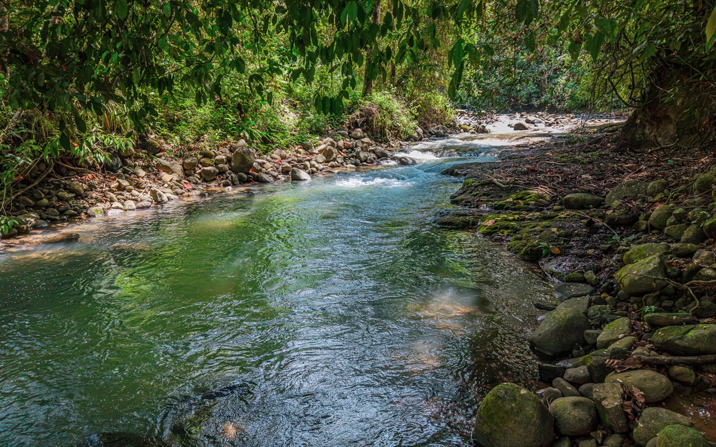 RIVERFRONT PROPERTY NEAR UVITA – PERMANENT RIVER, CASCADES & NATURAL SWIMMING POOLS