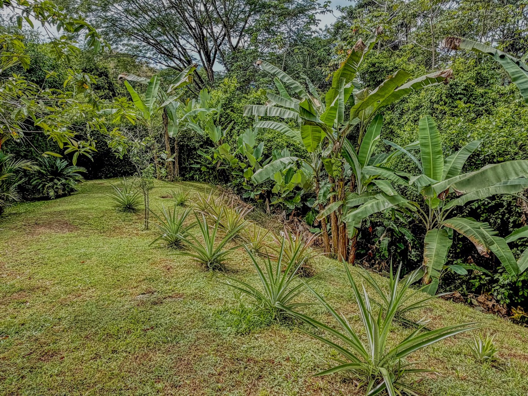MOUNTAIN RETREAT IN LAGUNAS DE BARÚ – FULLY FURNISHED & TWO 4X4 VEHICLES INCLUDED