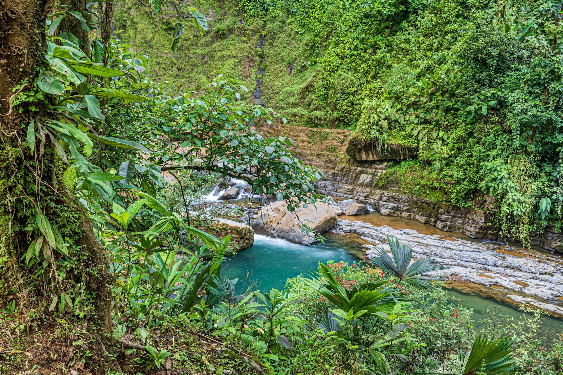 222-ACRE ECO-TOURISM PROPERTY WITH 210-FOOT WATERFALL, IN THE UP OF PLATANILLO