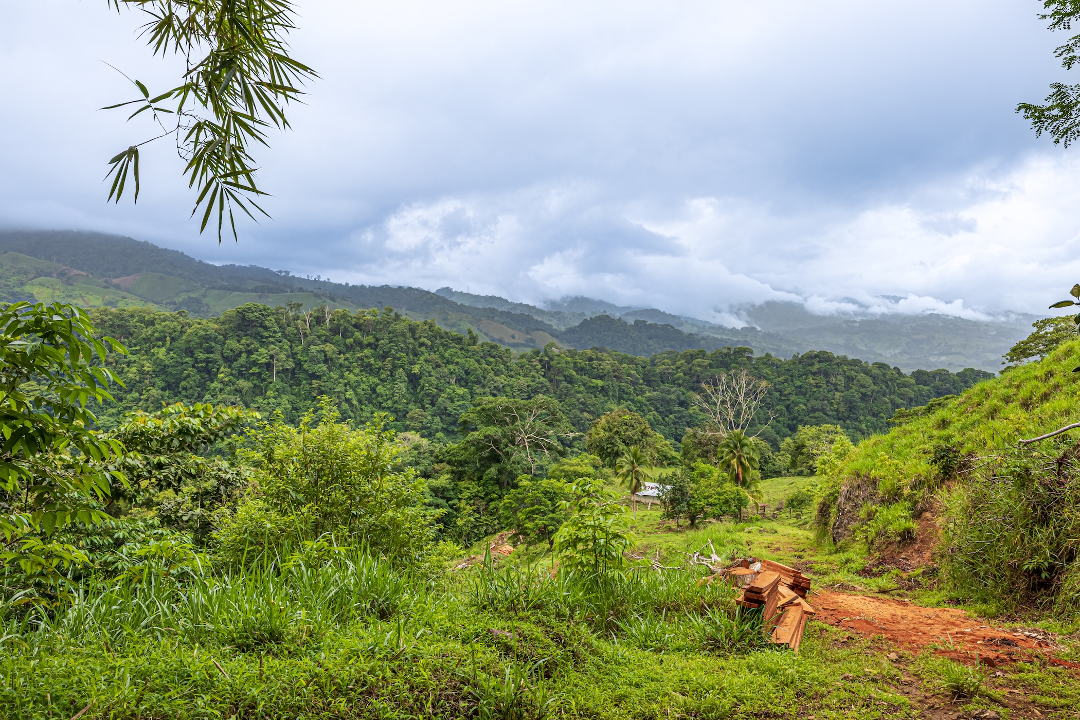222-ACRE ECO-TOURISM PROPERTY WITH 210-FOOT WATERFALL, IN THE UP OF PLATANILLO