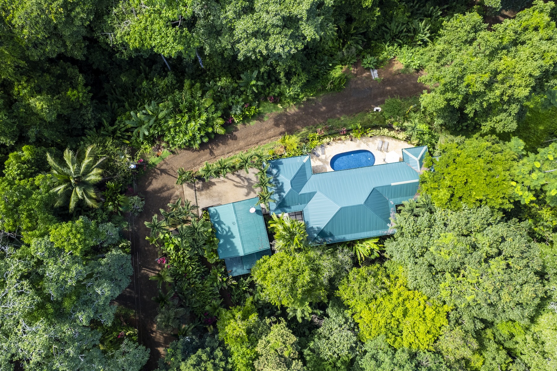 3-BEDROOM HOUSE WITH POOL IN A JUNGLE SETTING, IN UVITA – 1.6 ACRES